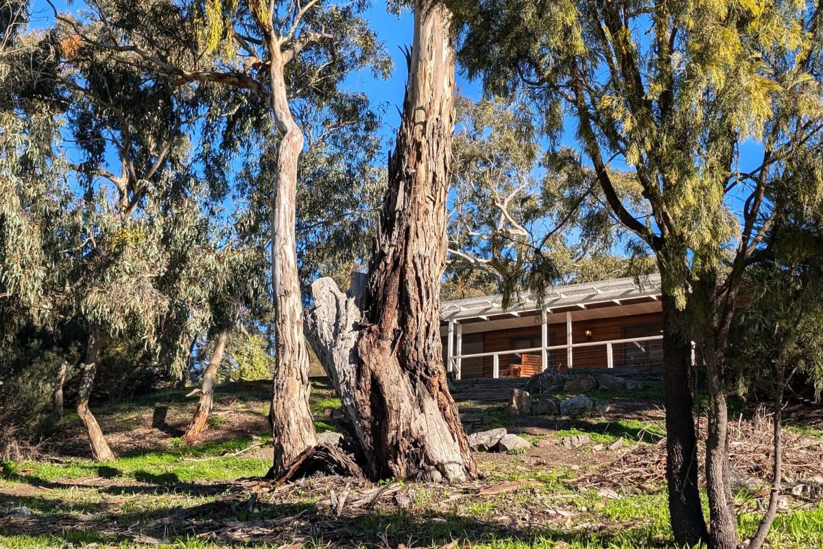 Wren Cottage Exterior